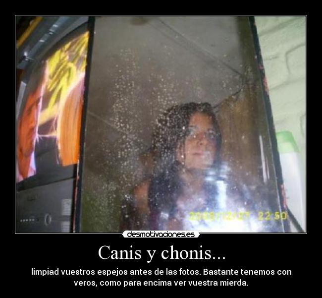 Canis y chonis... - 