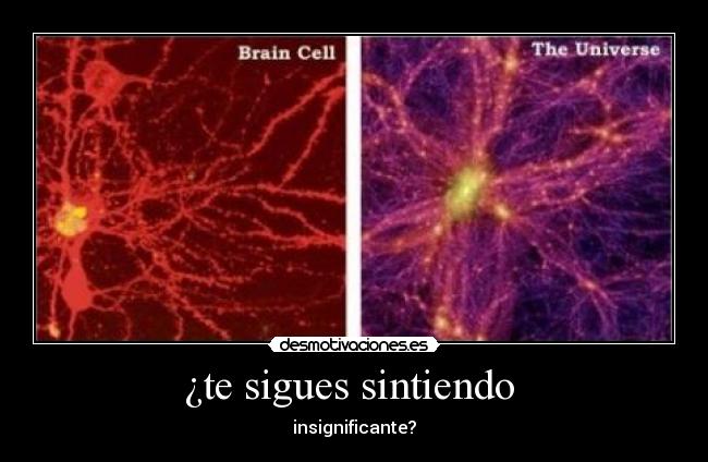 ¿te sigues sintiendo  - insignificante?