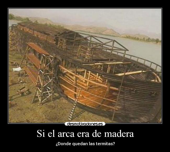 Si el arca era de madera - ¿Donde quedan las termitas?