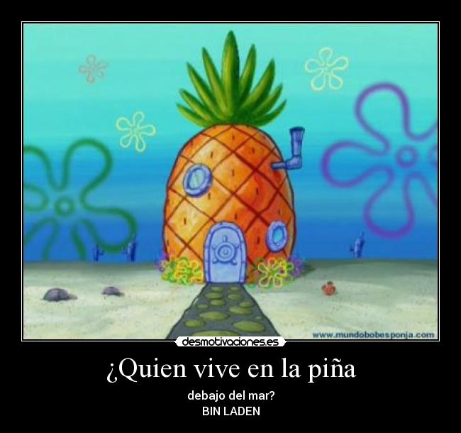 ¿Quien vive en la piña -