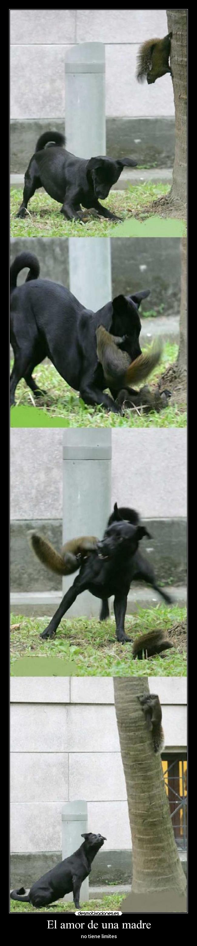 El amor de una madre - no tiene limites
