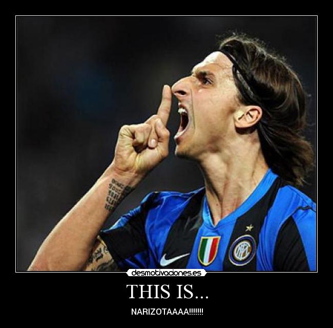 THIS IS... - NARIZOTAAAA!!!!!!!