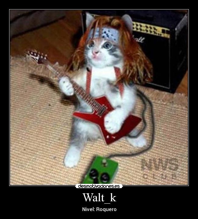 Walt_k - Nivel: Roquero
