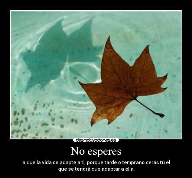 No esperes - a que la vida se adapte a ti, porque tarde o temprano serás tú el
que se tendrá que adaptar a ella.