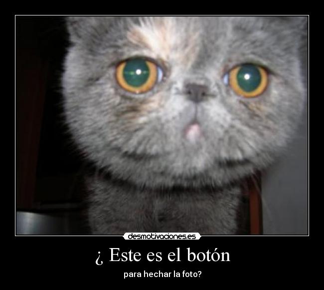 ¿ Este es el botón - 