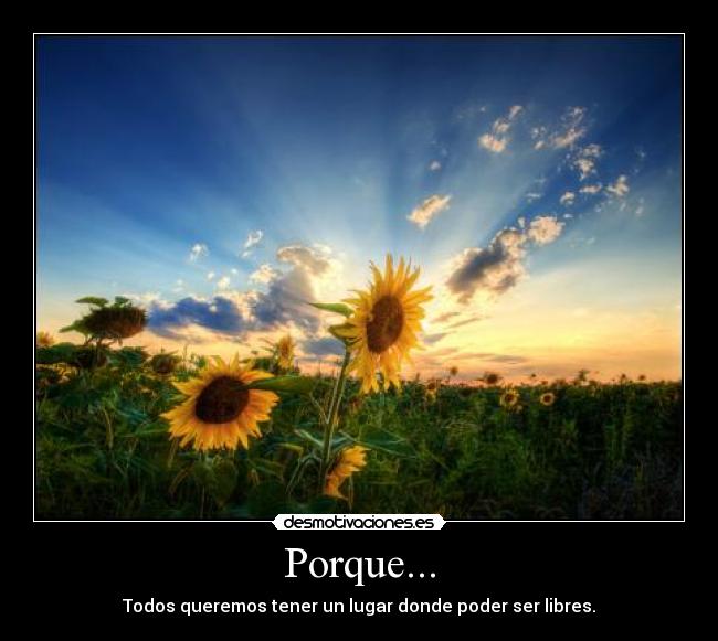 Porque... - 