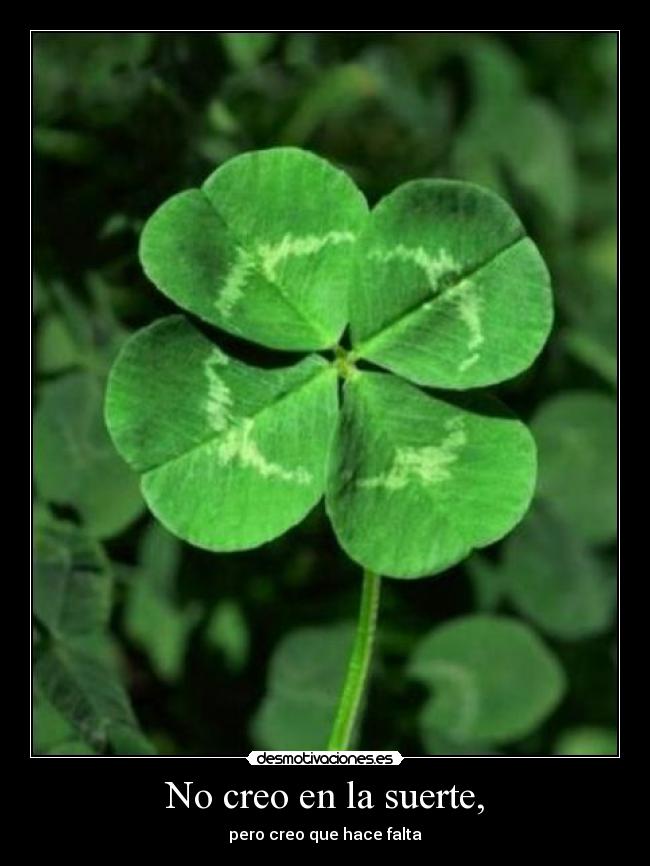 carteles leckram mad cock desmotivaciones