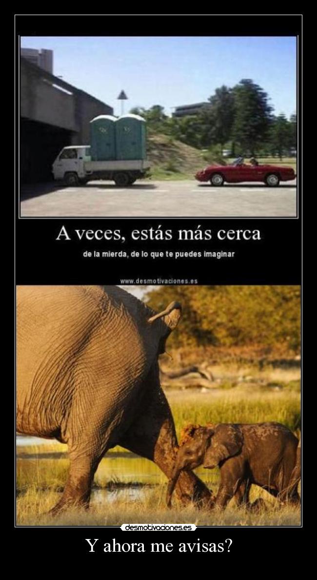 Y ahora me avisas? -