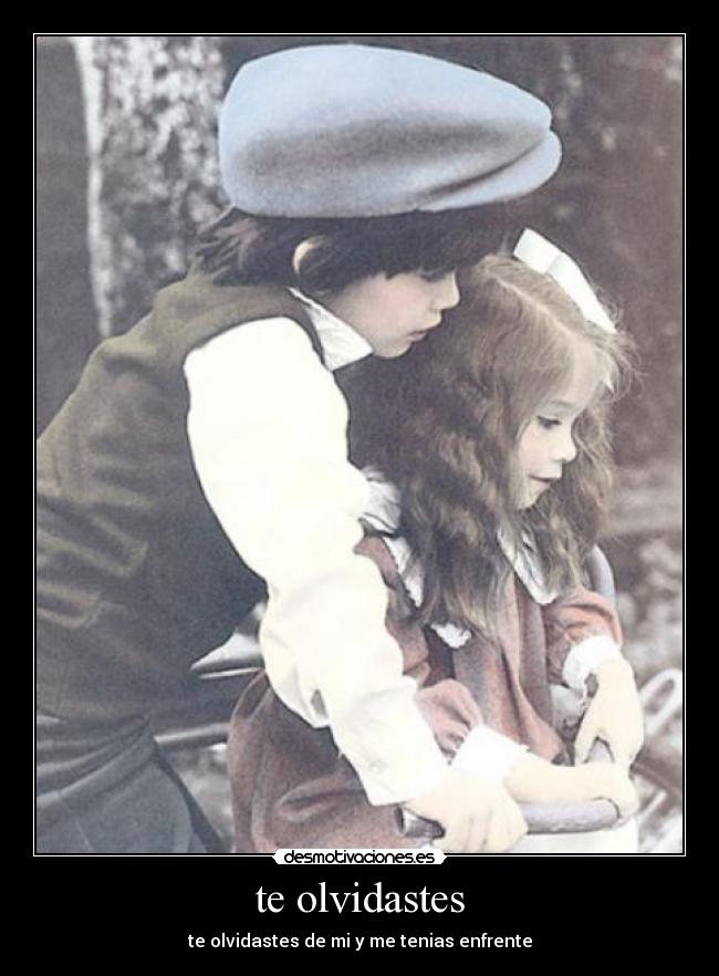 te olvidastes - 