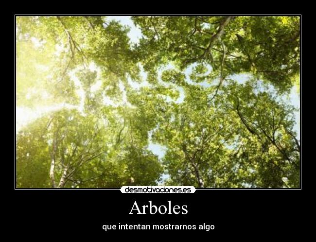 Arboles - que intentan mostrarnos algo