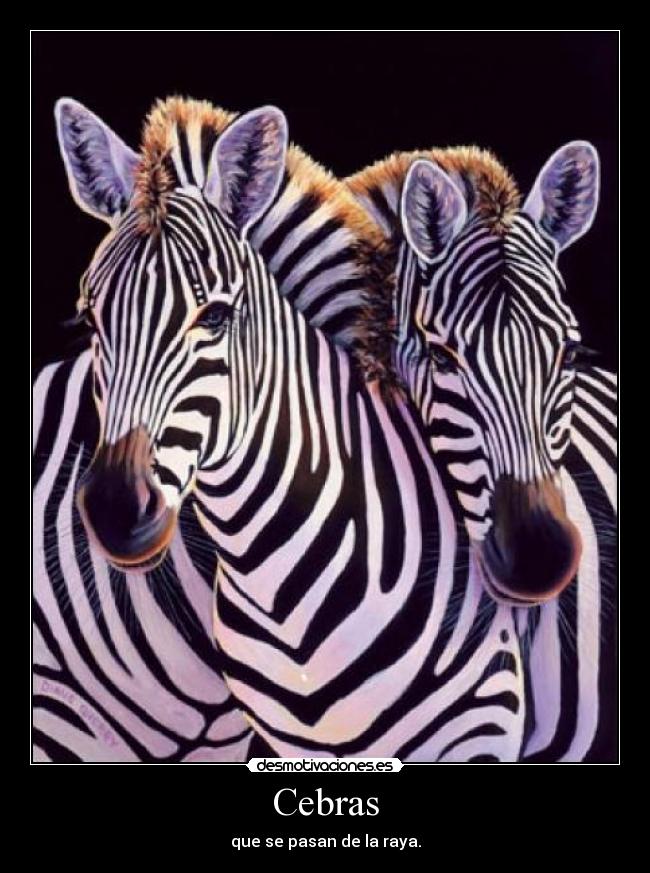 Cebras - que se pasan de la raya.