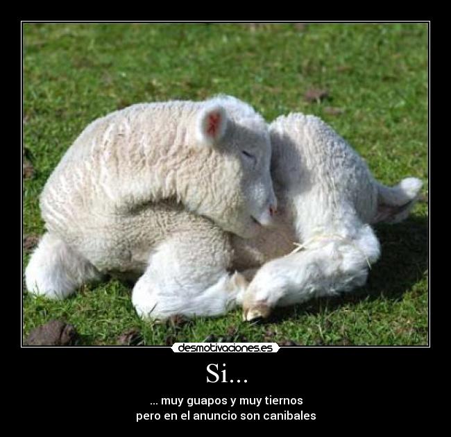 Si... - ... muy guapos y muy tiernos
pero en el anuncio son canibales