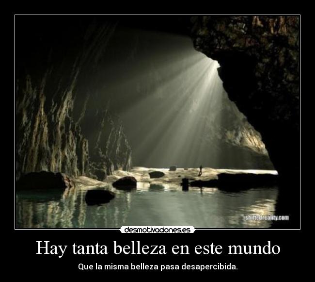 Hay tanta belleza en este mundo -