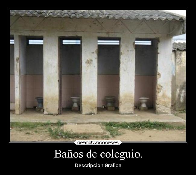 Baños de coleguio. - Descripcion Grafica