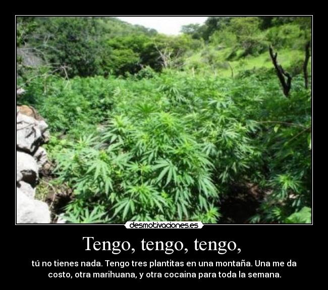 Tengo, tengo, tengo, -