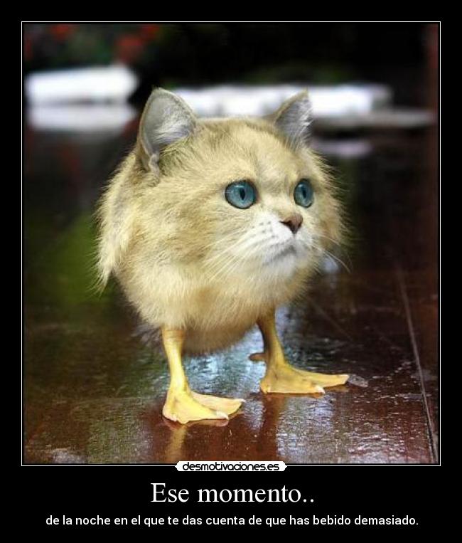 Ese momento.. - 