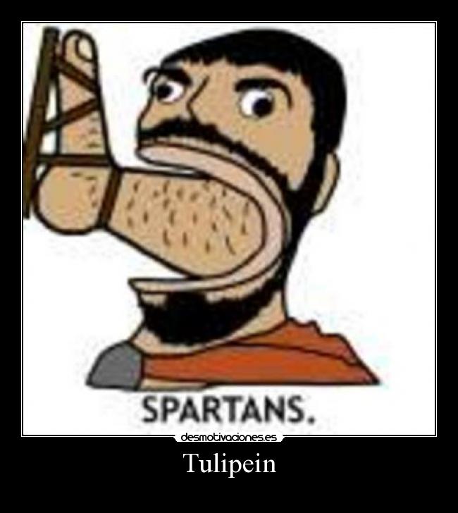 Tulipein - 