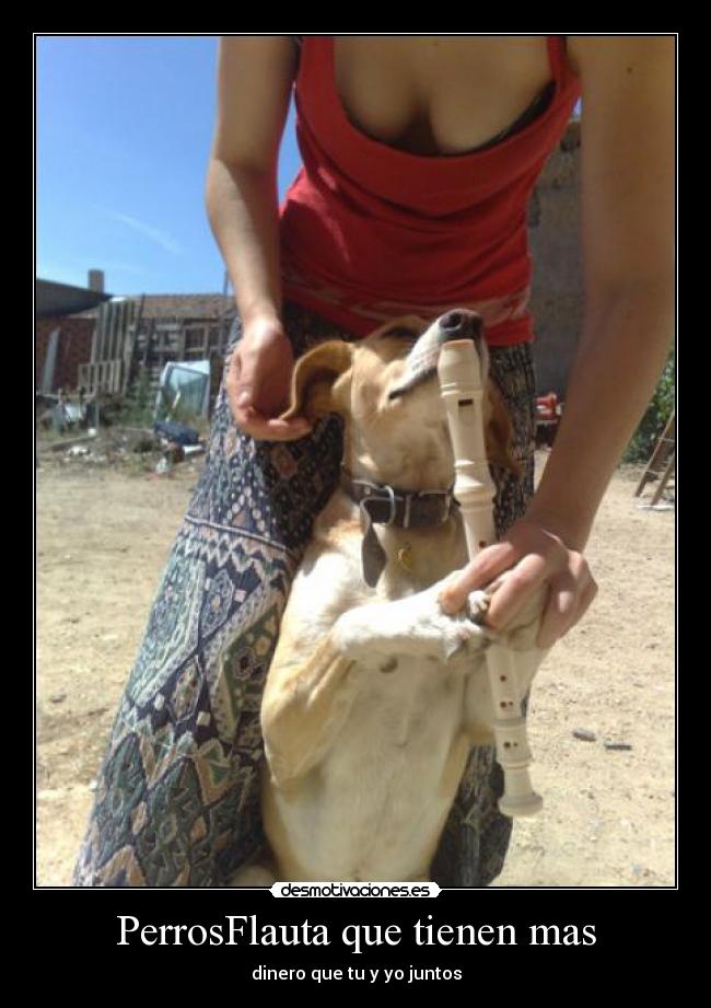 carteles perroflauta desmotivaciones