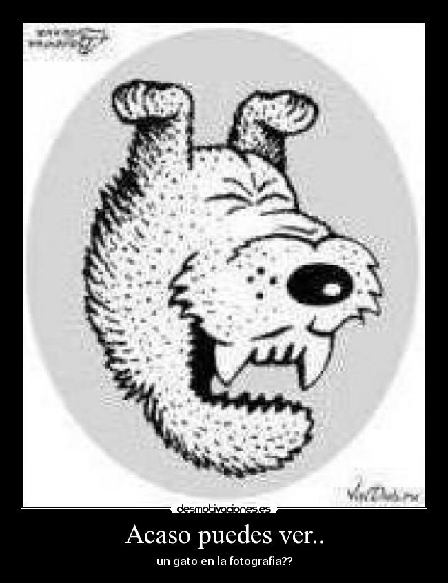 Acaso puedes ver.. - 