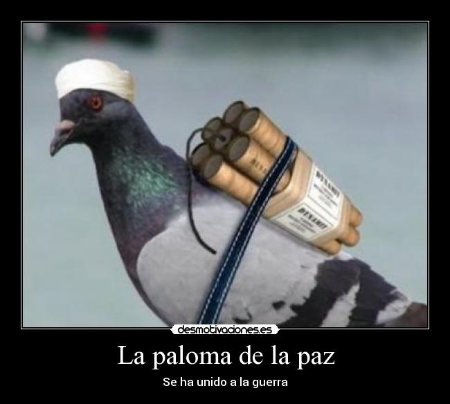 La paloma de la paz - 