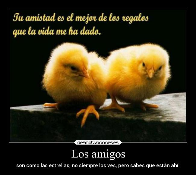 Los amigos - son como las estrellas; no siempre los ves, pero sabes que están ahí !