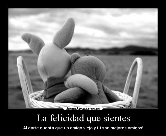 La felicidad que sientes -