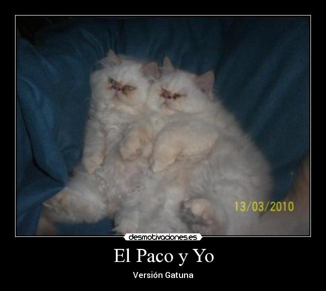 El Paco y Yo - Versión Gatuna