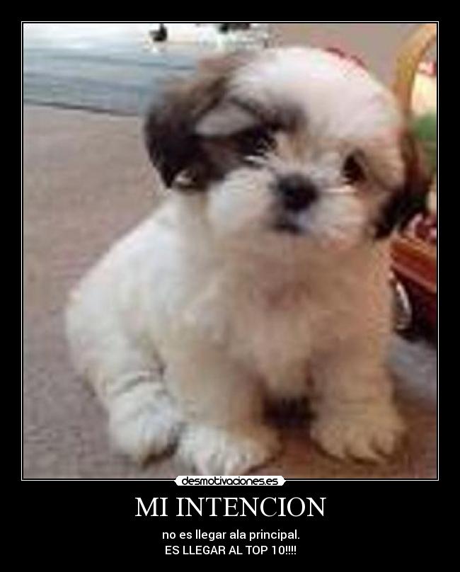 MI INTENCION - 