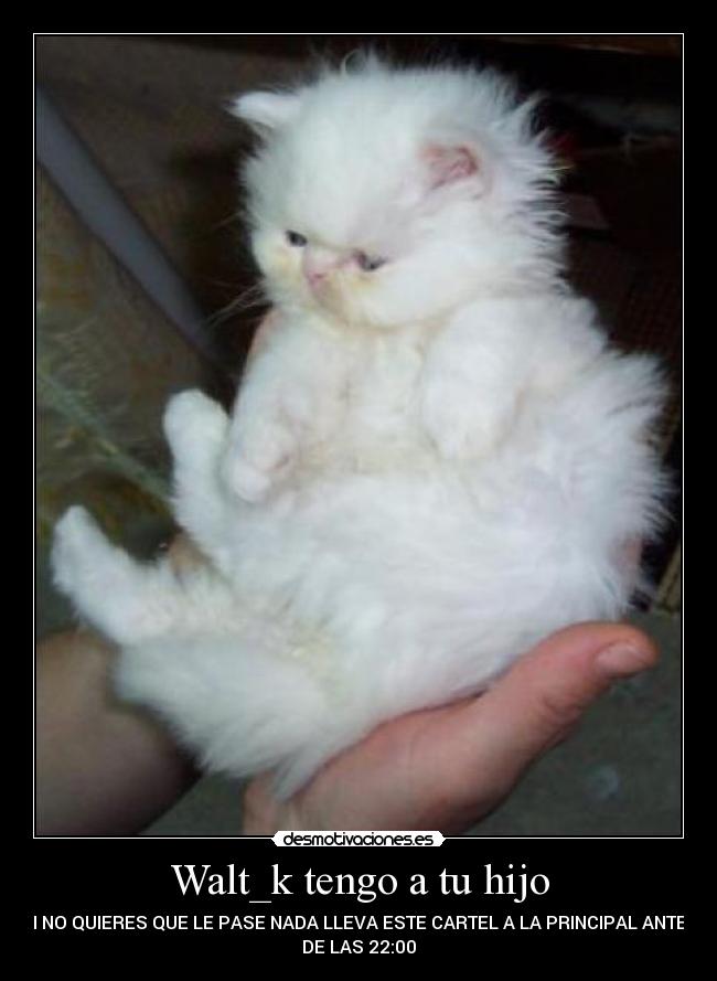 Walt_k tengo a tu hijo - 