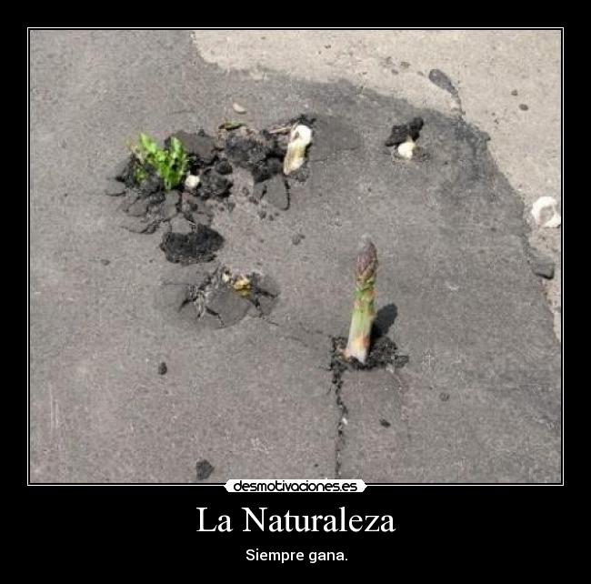 La Naturaleza - 