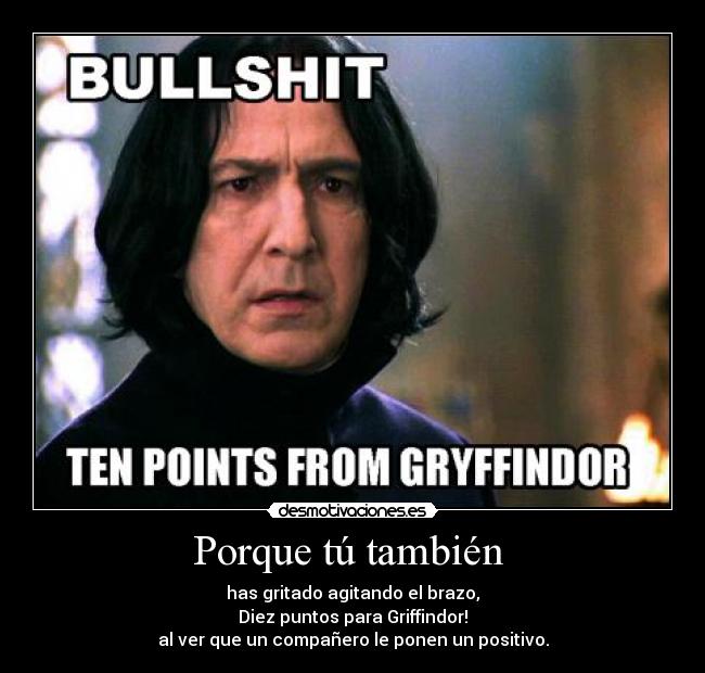 carteles diez puntos para griffindor desmotivaciones