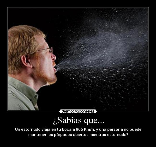 carteles leckram desmotivaciones