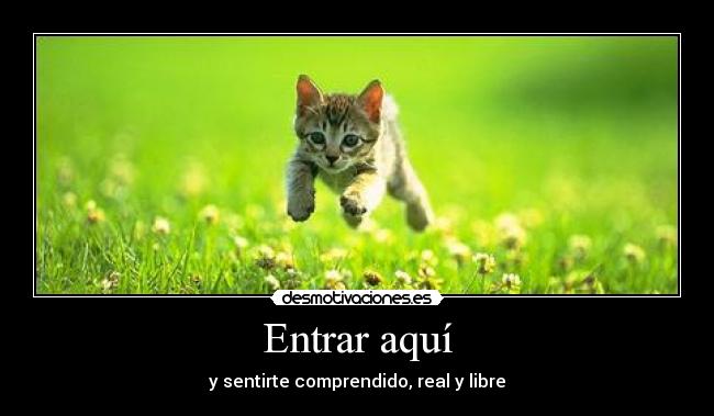Entrar aquí - y sentirte comprendido, real y libre