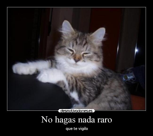 No hagas nada raro - que te vigilo