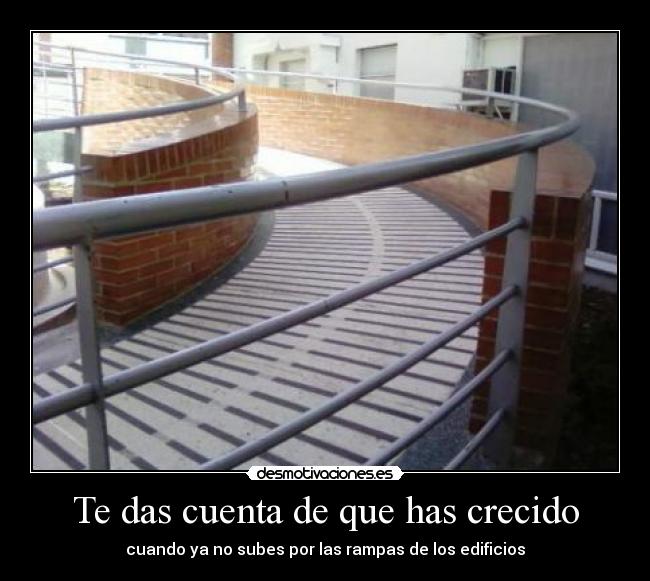 Te das cuenta de que has crecido - 