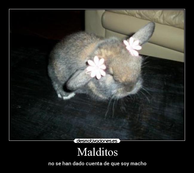 Malditos - no se han dado cuenta de que soy macho