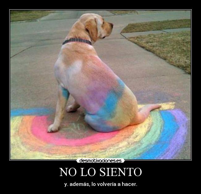NO LO SIENTO -