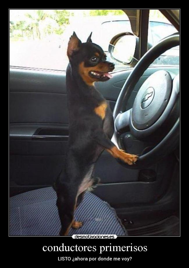 carteles daarias desmotivaciones