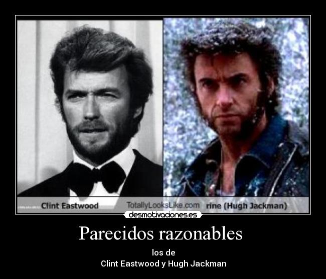 Parecidos razonables  - 