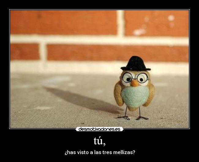 tú, - ¿has visto a las tres mellizas?
