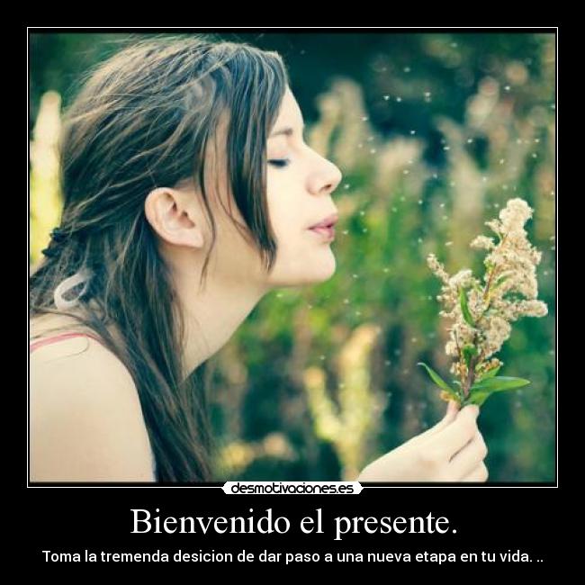 carteles puede desmotivaciones