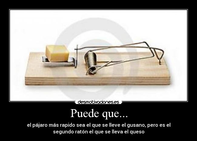 Puede que... - el pájaro más rapido sea el que se lleve el gusano, pero es el
segundo ratón el que se lleva el queso