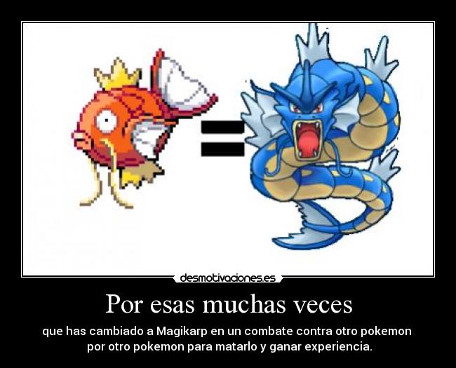Por esas muchas veces - 