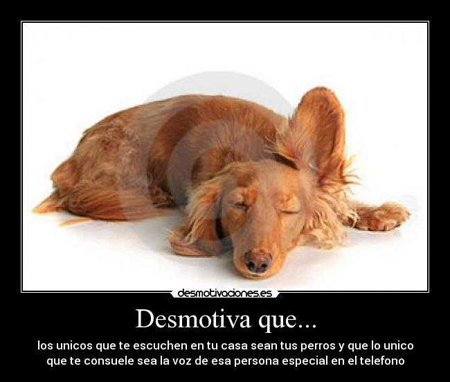 Desmotiva que... - los unicos que te escuchen en tu casa sean tus perros y que lo unico
que te consuele sea la voz de esa persona especial en el telefono