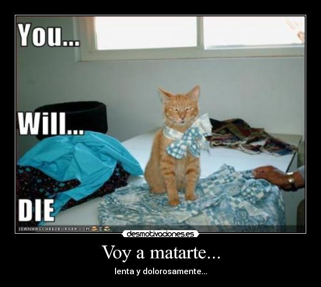 Voy a matarte... -