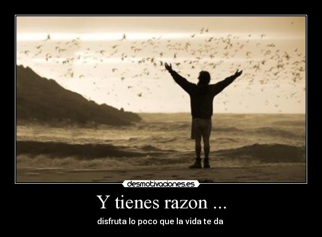 Y tienes razon ... - disfruta lo poco que la vida te da 