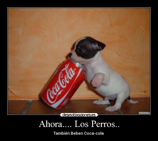 Ahora.... Los Perros.. - También Beben Coca-cola 