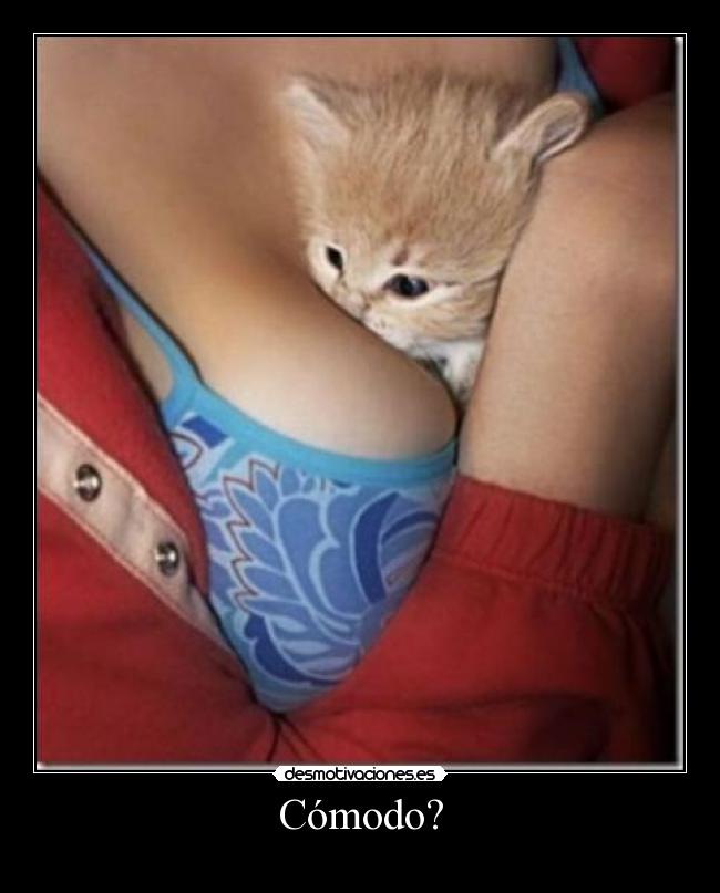 Cómodo? - 