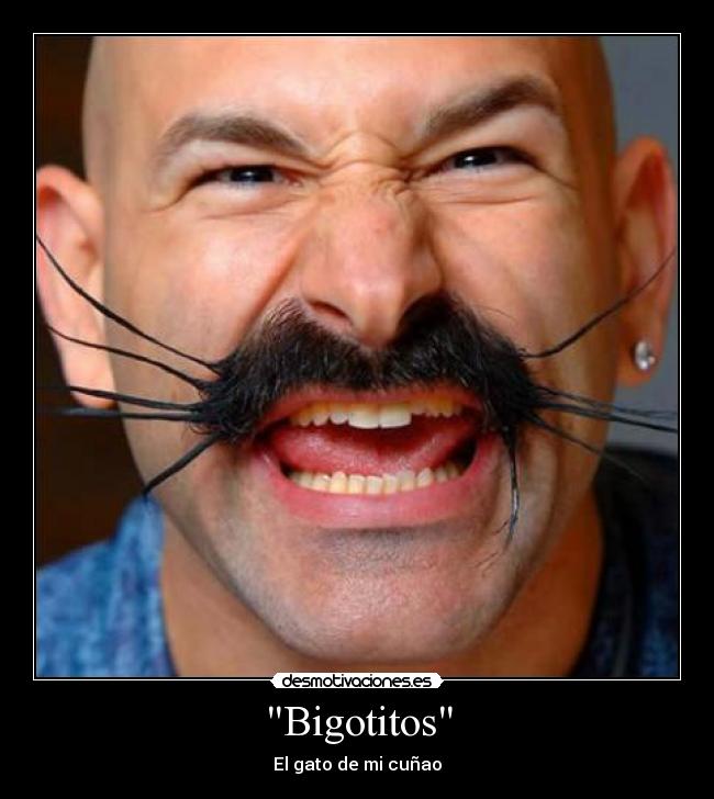Bigotitos -