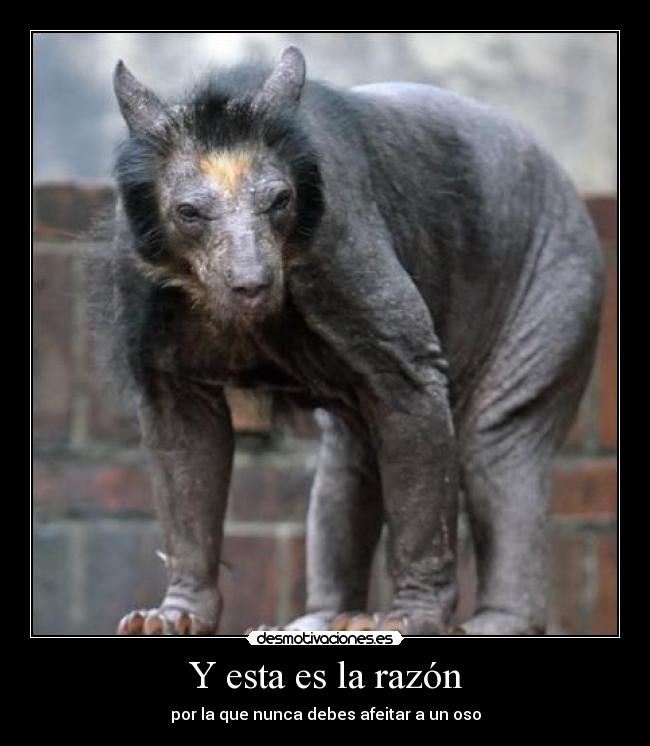 Y esta es la razón -